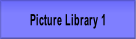 Picture Library 1.