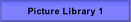 Picture Library 1.