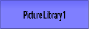 Picture Library 1.