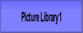 Picture Library 1.