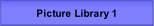 Picture Library 1.