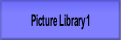 Picture Library 1.